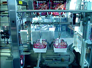 industrial automation machine factory